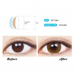 LENSME Mega Look M3 BROWN(月拋)